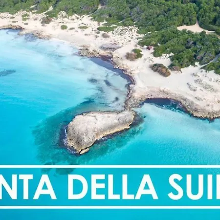 Daire Casa Stellata